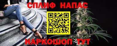 мдпв Апшеронск