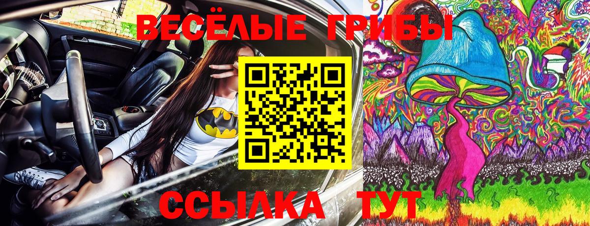Галлюциногенные грибы мухоморы  Вход с VPN  Прокопьевск 